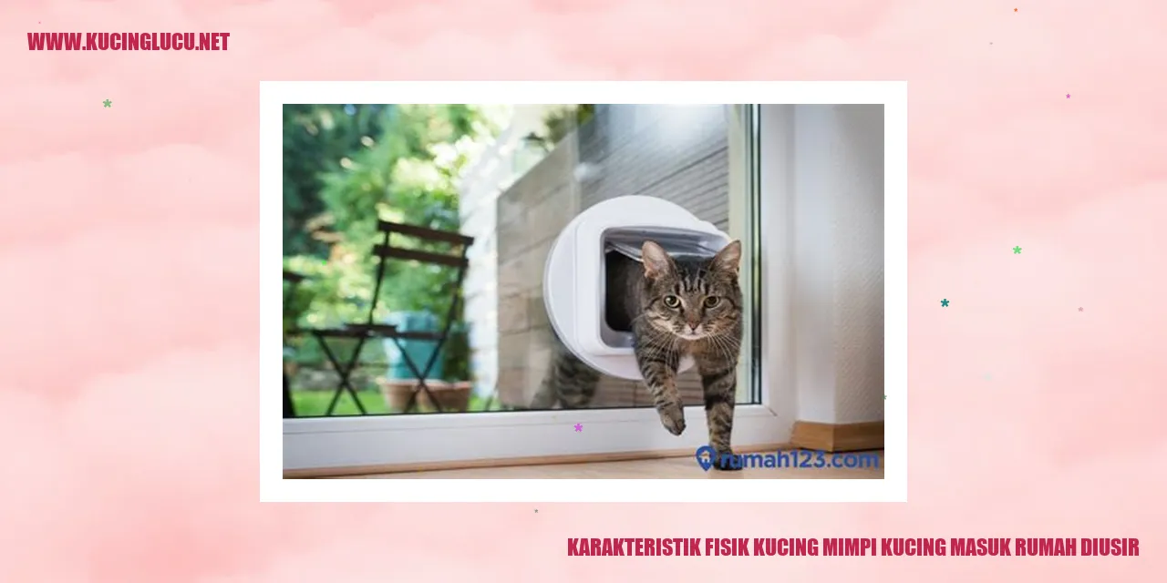 Karakteristik Fisik Kucing mimpi kucing masuk rumah diusir