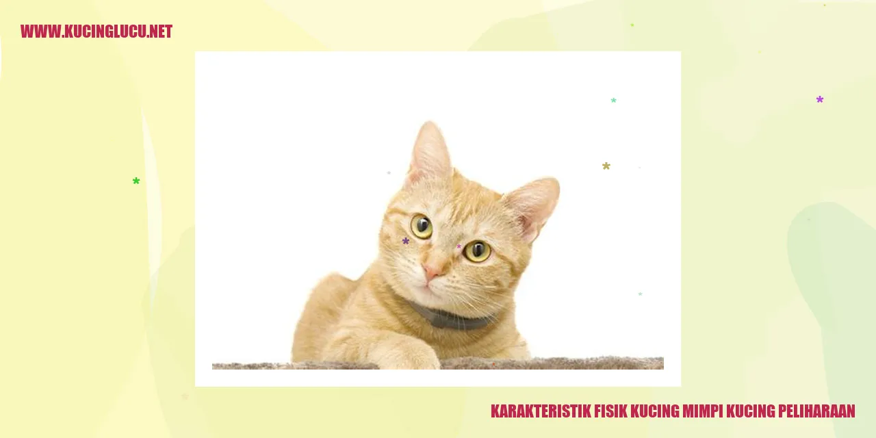 Karakteristik Fisik Kucing
