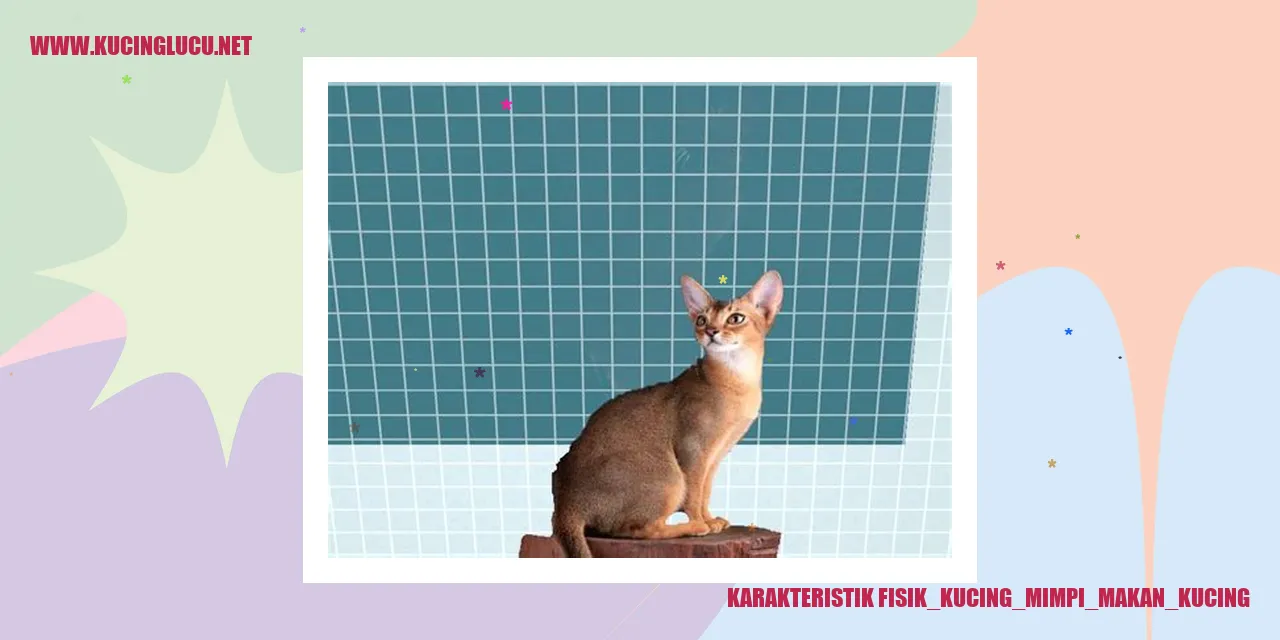 Karakteristik Fisik Kucing