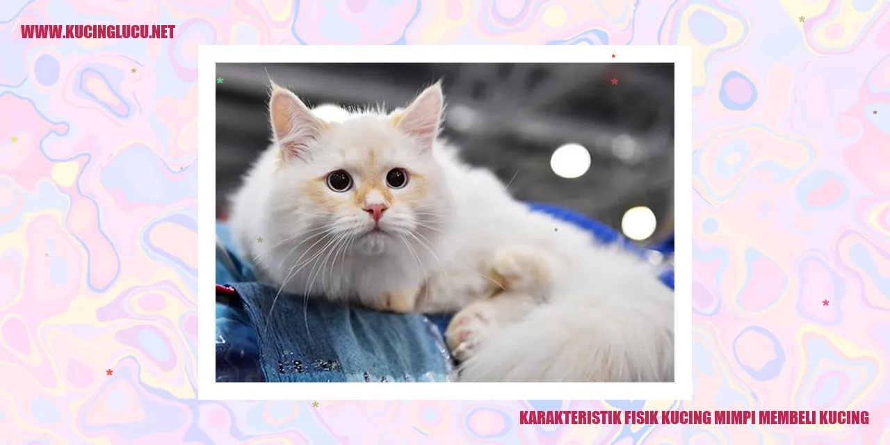 Karakteristik Fisik Kucing mimpi membeli kucing