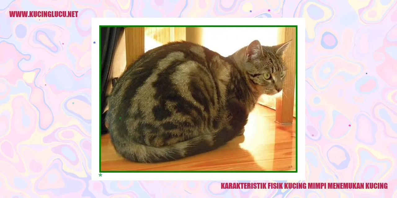 Kecantikan Tubuh Kucing