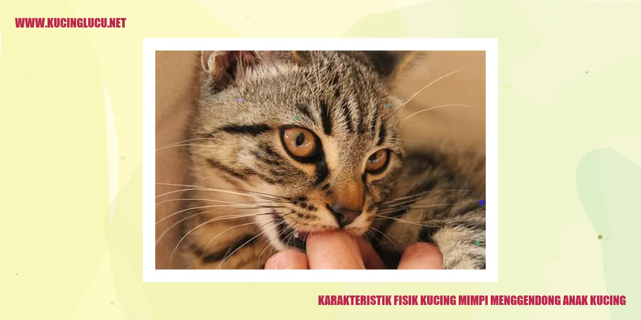 Karakteristik Fisik Kucing