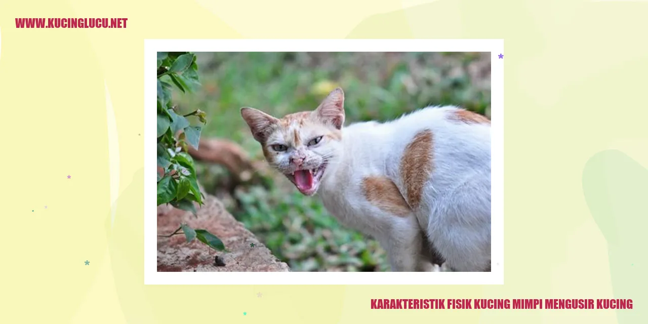 Kucing dengan cakar yang tajam