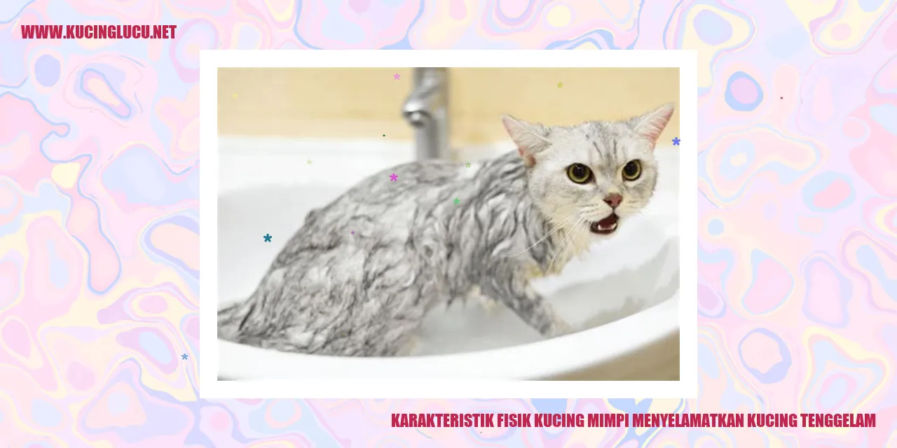 gambar kucing tenggelam