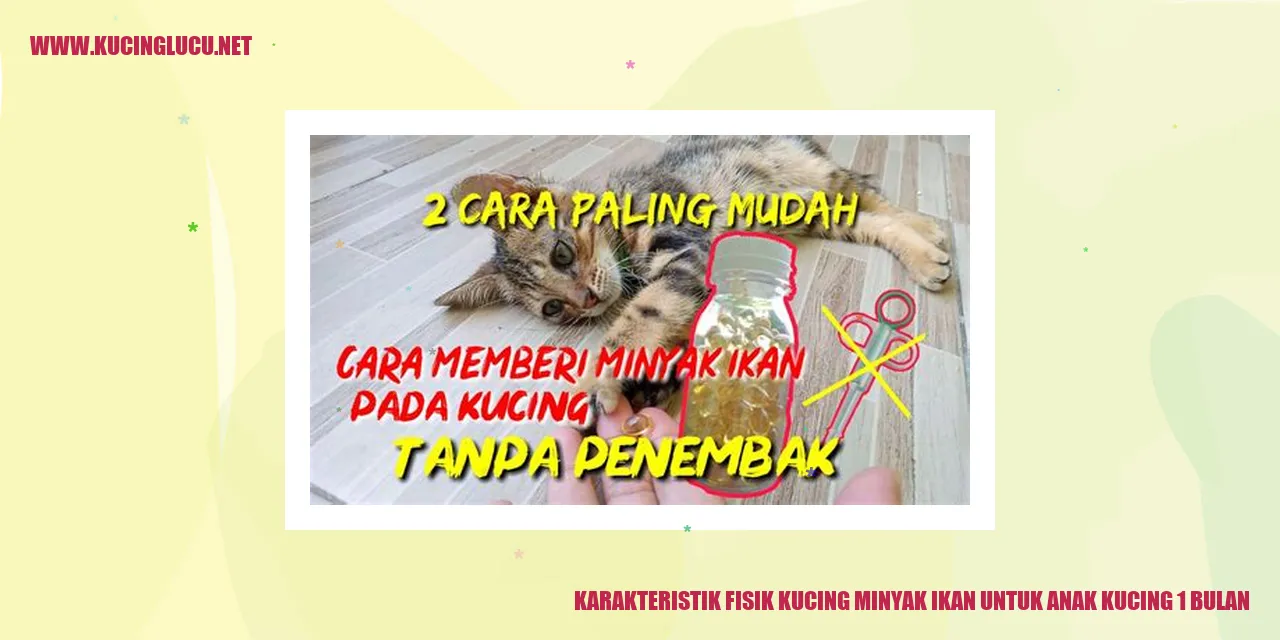 Karakteristik Fisik Kucing minyak ikan untuk anak kucing 1 bulan