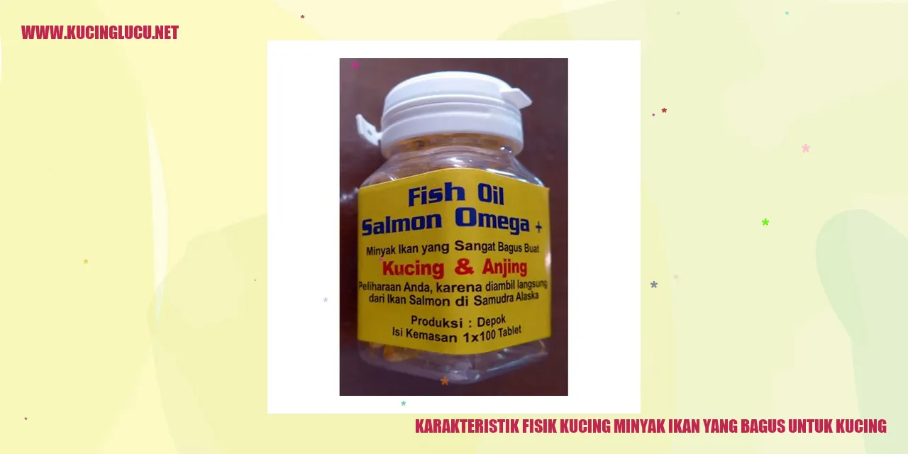 Kucing minyak ikan
