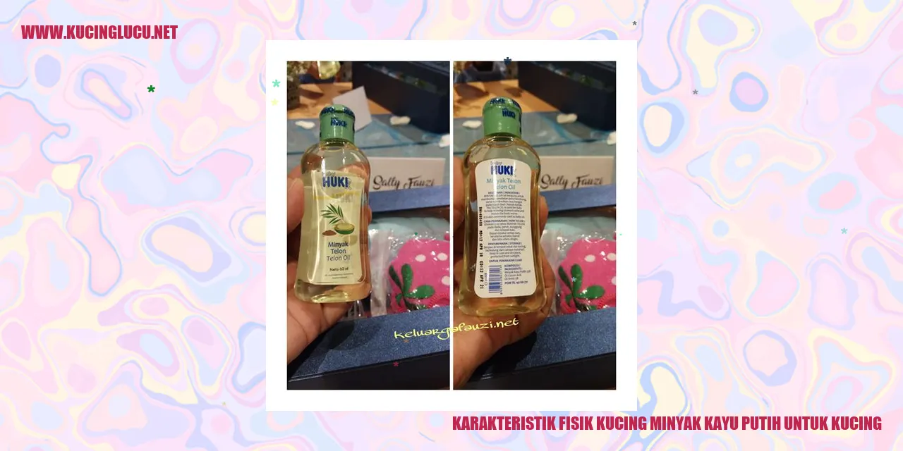 Karakteristik Fisik Kucing Minyak Kayu Putih untuk Kucing