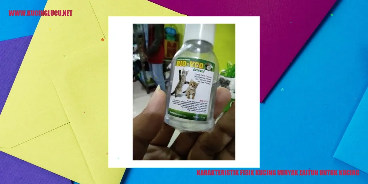 Karakteristik Fisik Kucing minyak zaitun untuk kucing