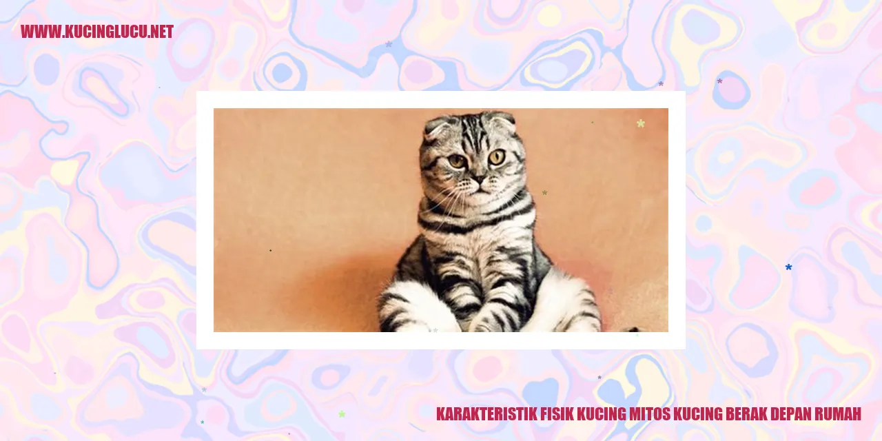 Karakteristik Fisik Kucing Mitos Kucing Berak Depan Rumah