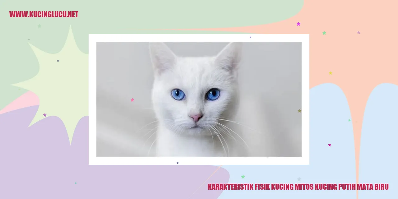 Kucing Putih Mata Biru