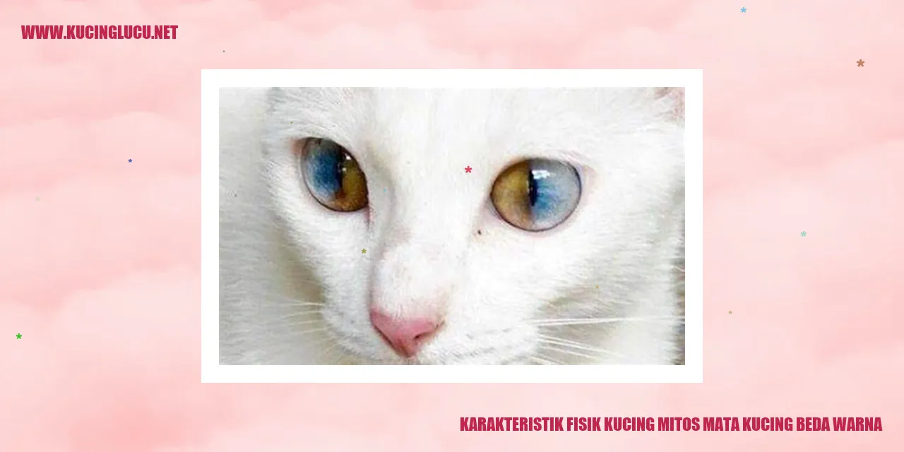 Mata Kucing Beda Warna