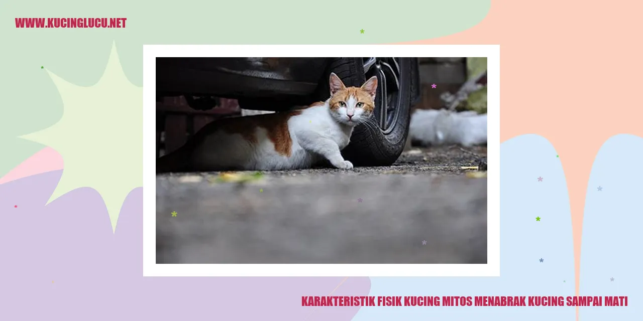 Gambar Kucing