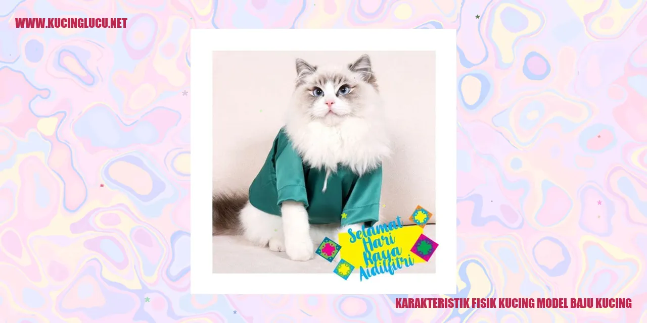 Karakteristik Fisik Kucing Model Baju Kucing