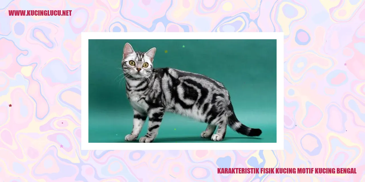 Karakteristik Fisik Kucing motif kucing bengal