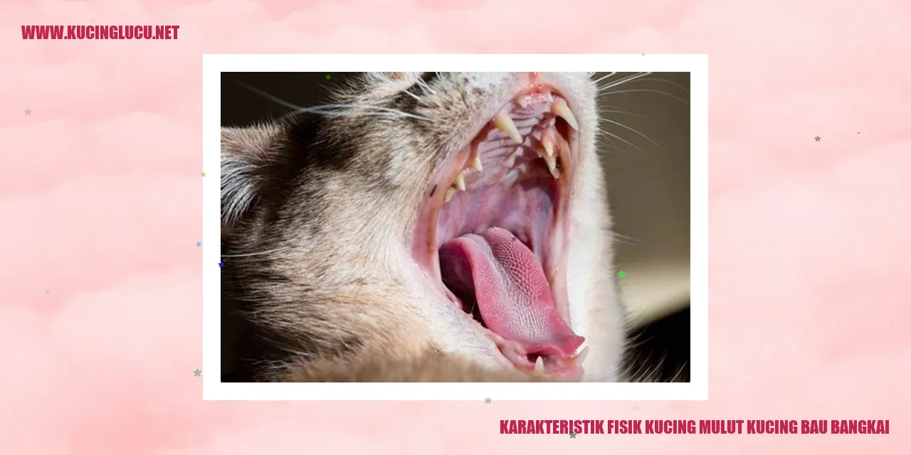 Gambar kucing dengan karakteristik fisik yang mencolok