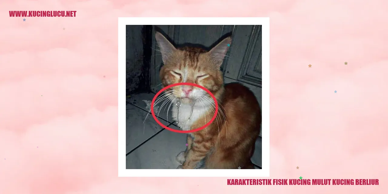 Gambar Kucing