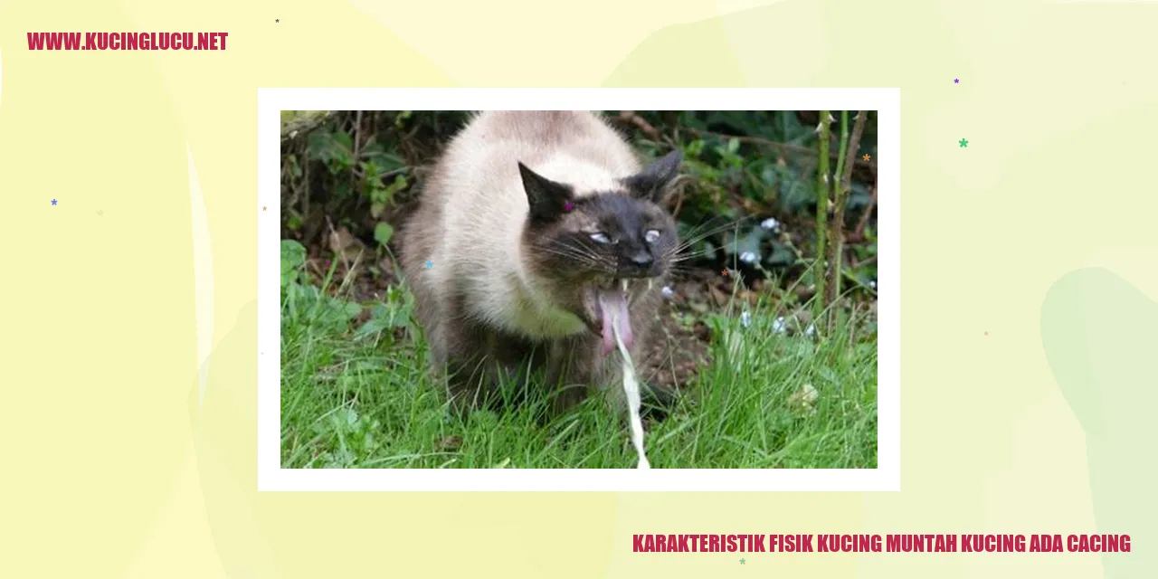 Gambar Kucing Muntah akibat Infestasi Cacing