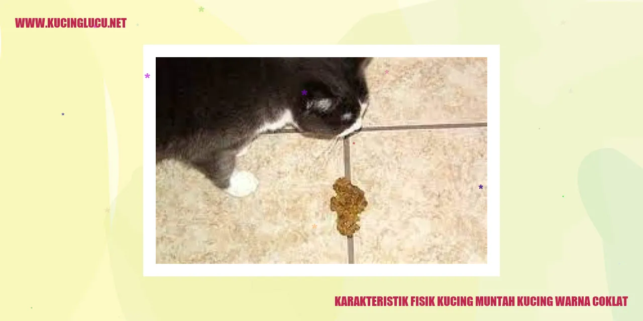 Karakteristik Fisik Kucing Warna Coklat yang Menggemaskan