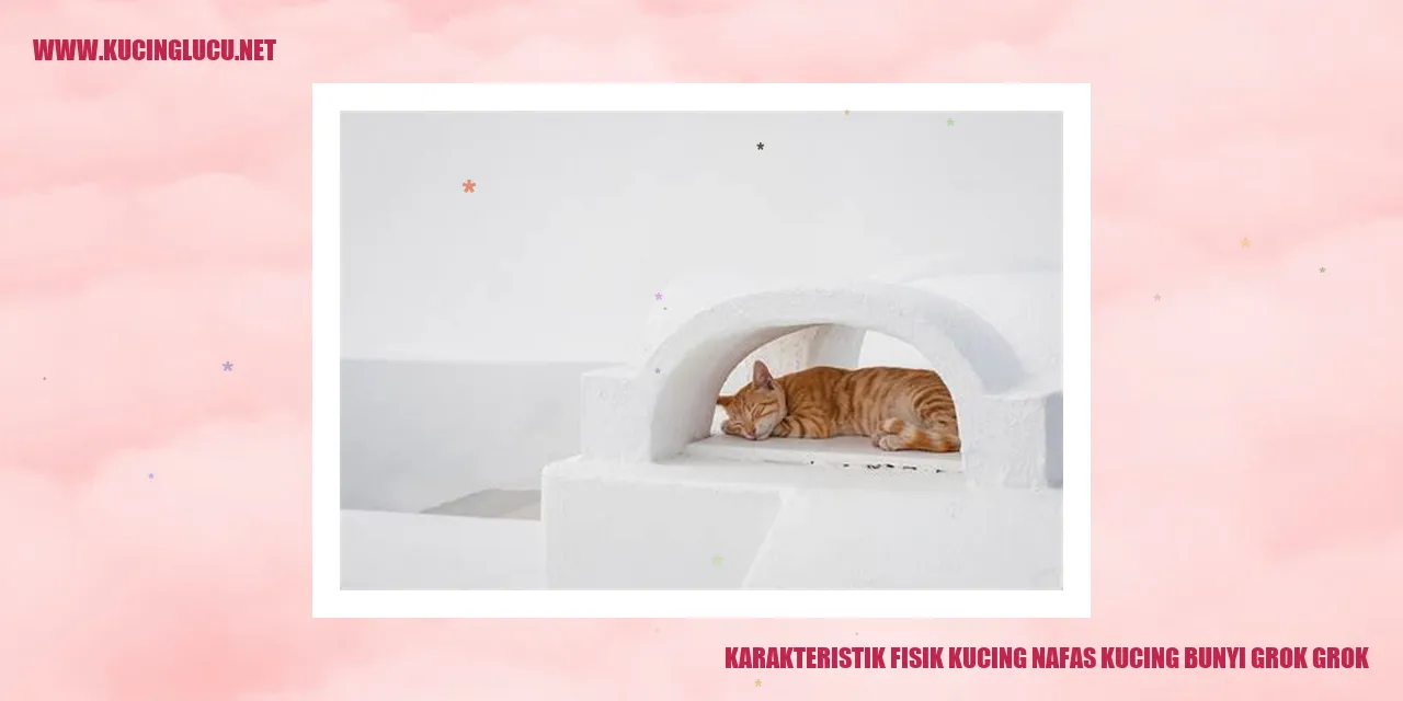 Gambar Kucing