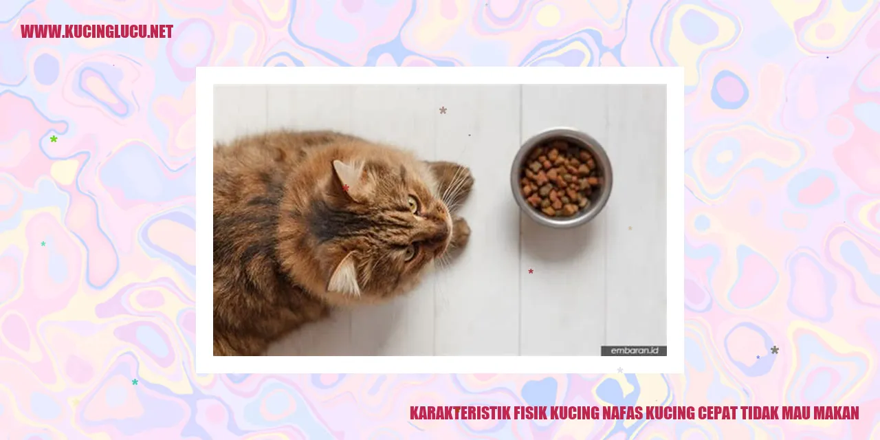 Karakteristik Fisik Kucing