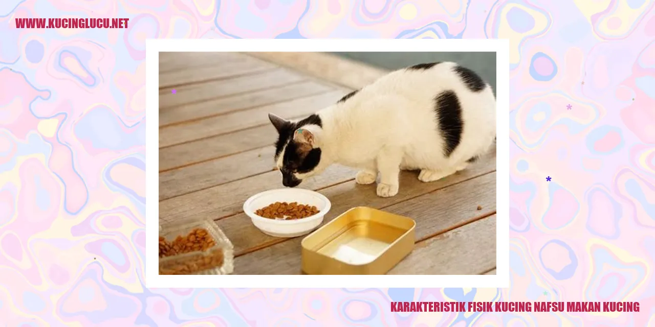 Karakteristik Fisik Kucing nafsu makan kucing