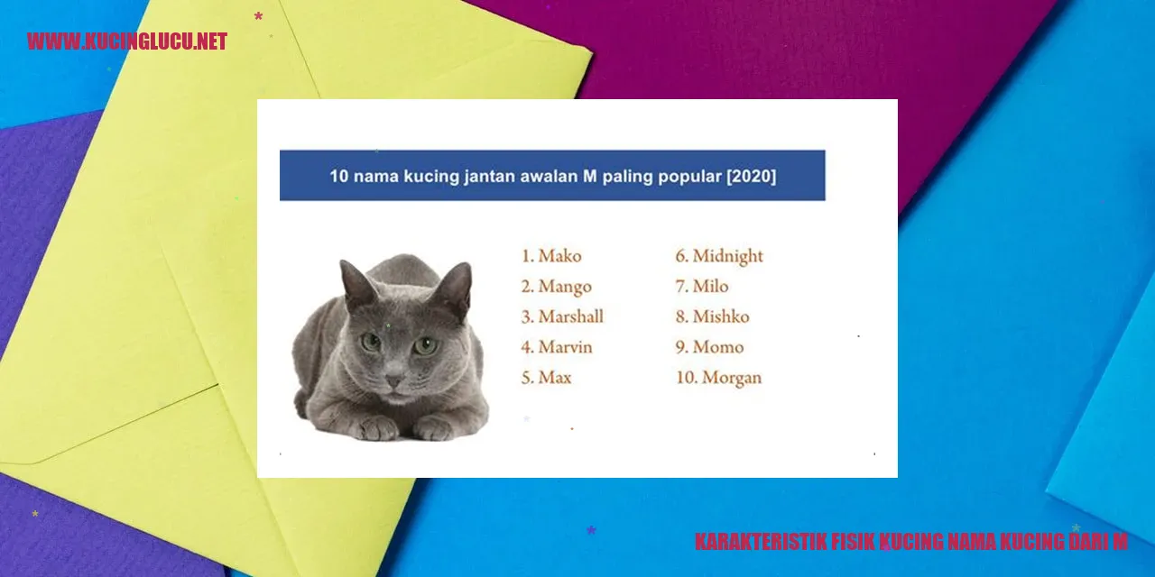Karakteristik Fisik Kucing