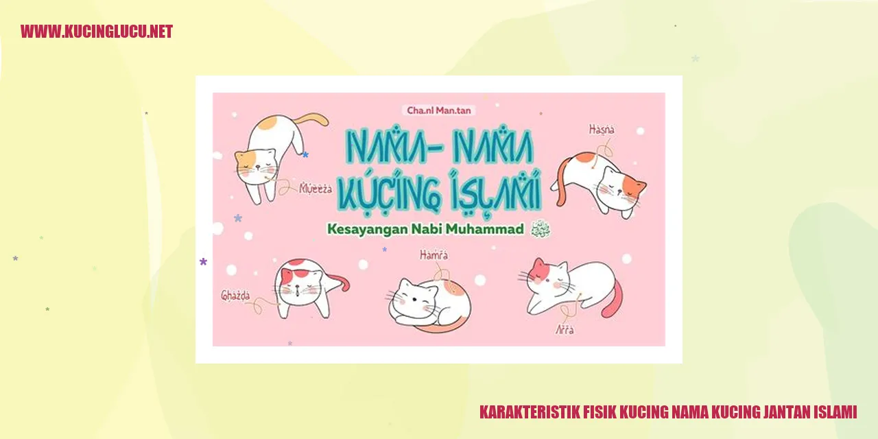 Foto kucing jantan