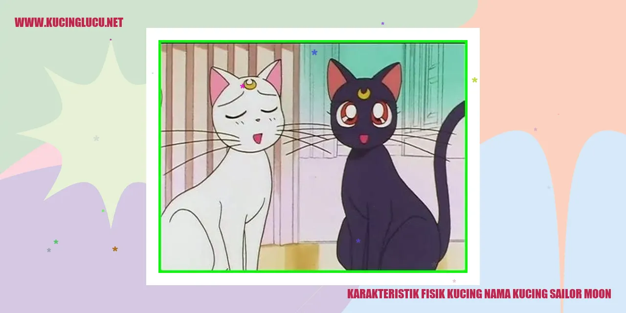 Karakteristik Fisik Kucing Sailor Moon