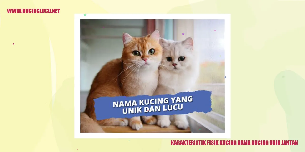 Kucing unik jantan