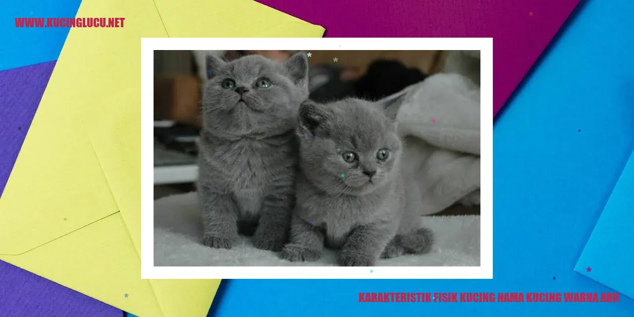 Karakteristik Fisik Kucing