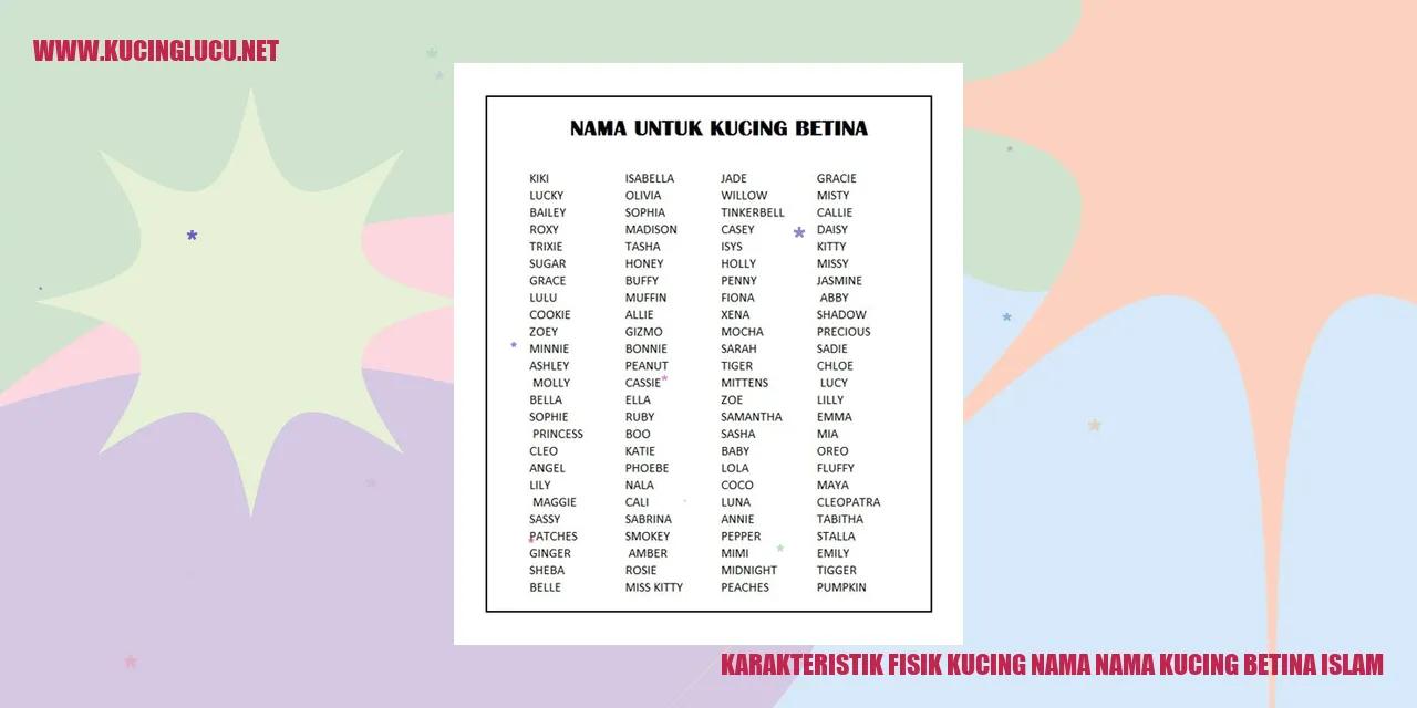 Karakteristik Fisik Kucing Betina Islami