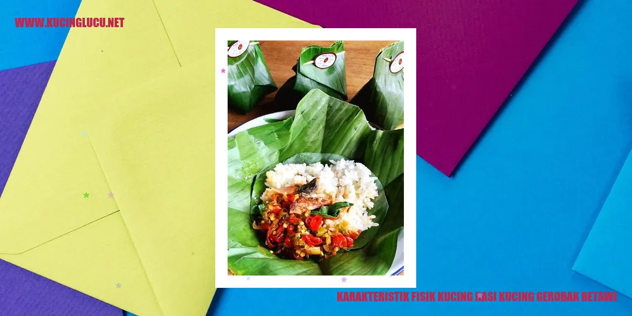 Karakteristik Fisik Kucing Nasi Kucing Gerobak Betawi