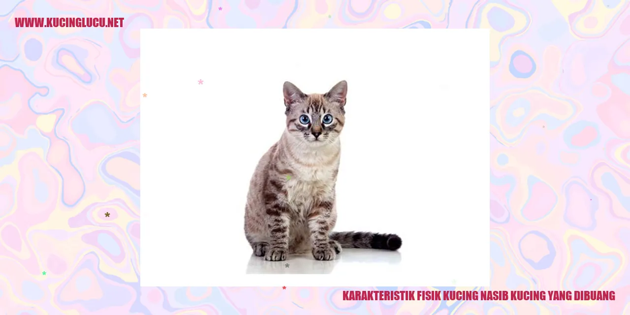 Karakteristik Fisik Kucing yang Dibuang