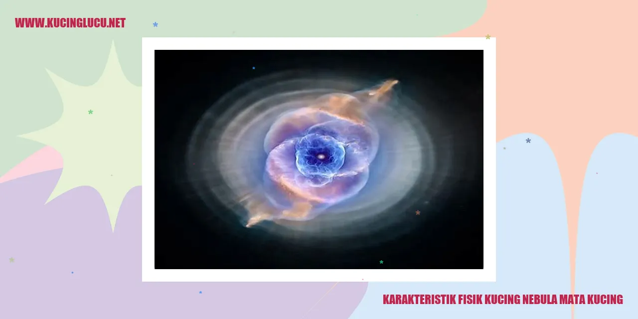 Karakteristik Fisik Kucing Nebula Mata Kucing