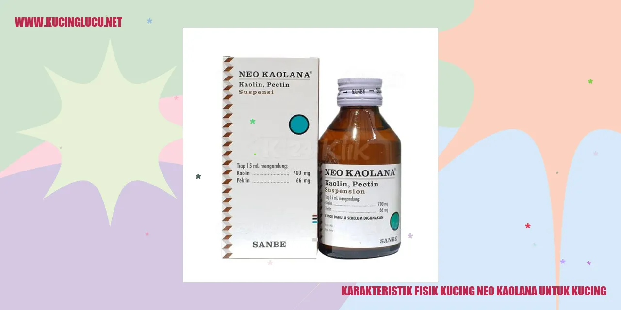 Karakteristik Fisik Kucing neo kaolana untuk kucing