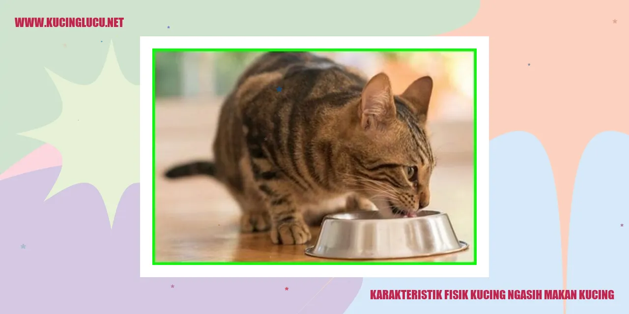 Karakteristik Fisik Kucing ngasih makan kucing