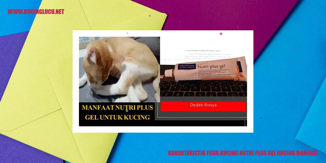 Gambar Kucing