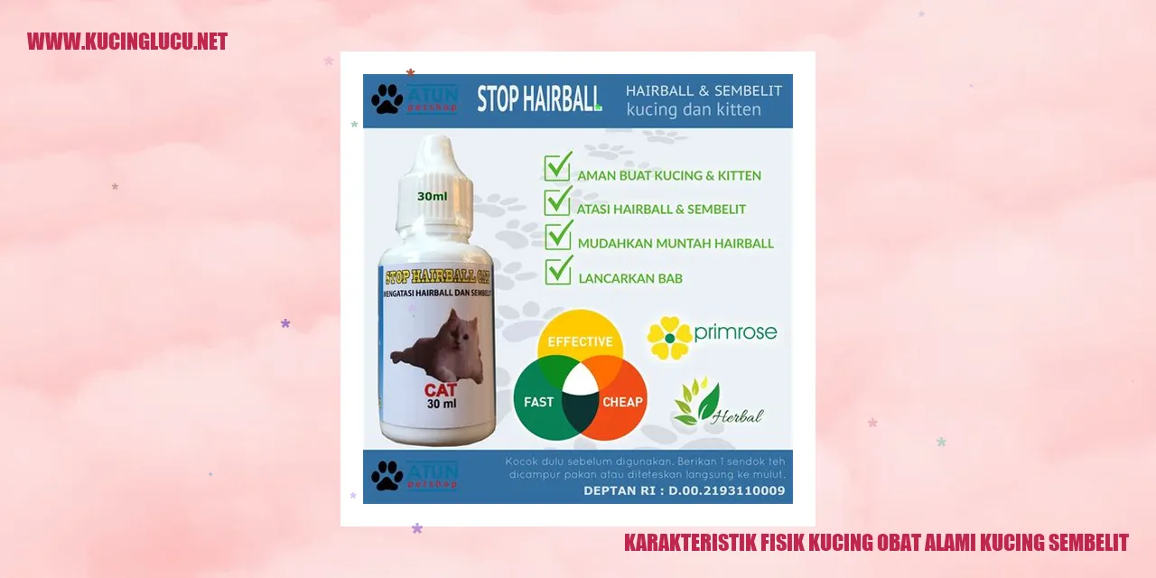 Karakteristik Fisik Kucing obat alami kucing sembelit