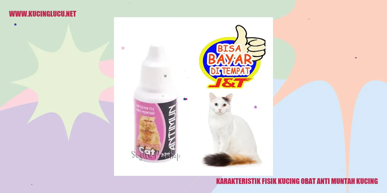 Gambar Kucing Menggunakan Obat Anti Muntah