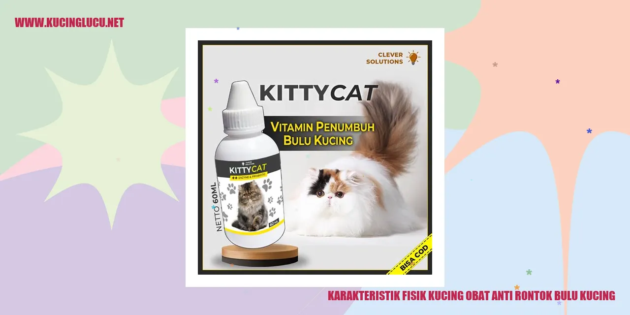 Kucing dengan bulu yang sehat dan tidak rontok