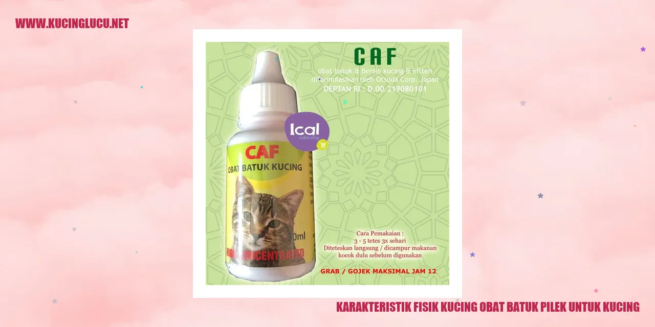 Karakteristik Fisik Kucing