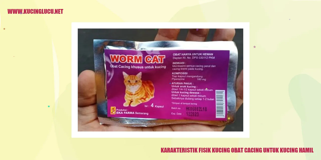 Kucing yang Menggemaskan