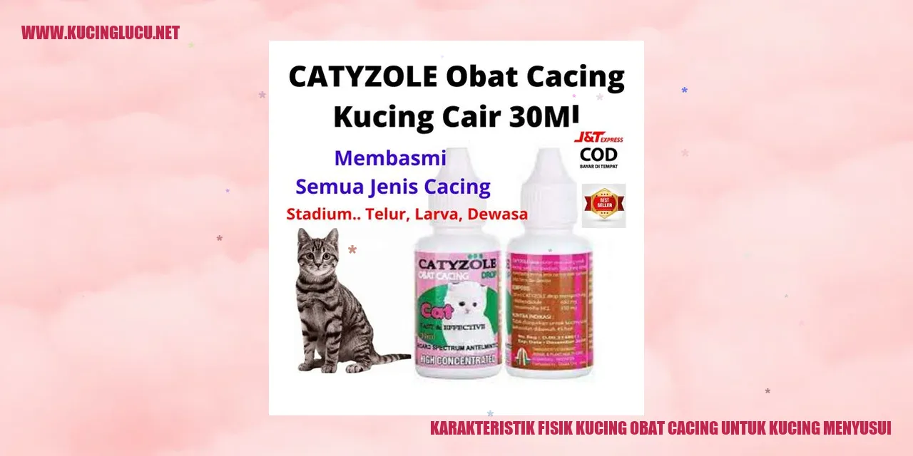 Karakteristik Fisik Kucing obat cacing untuk kucing menyusui