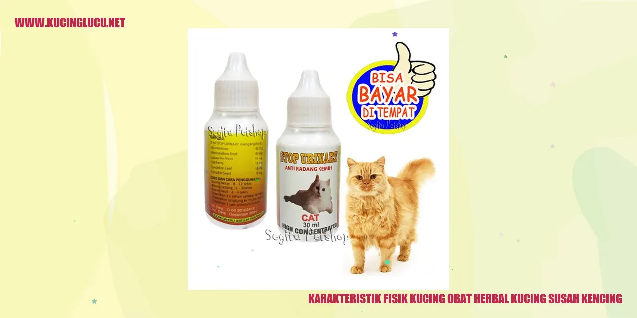 Karakteristik Fisik Kucing obat herbal kucing susah kencing