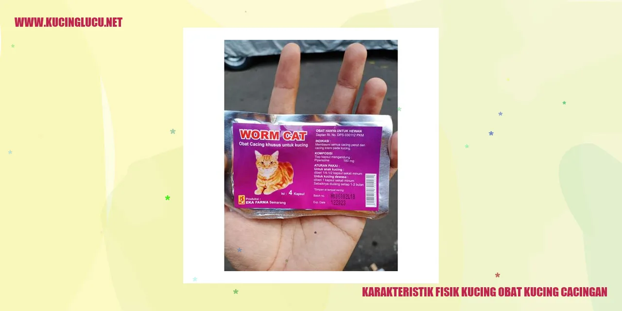 Karakteristik Fisik Kucing