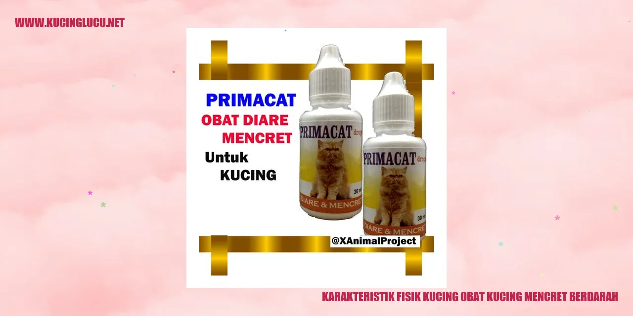 Karakteristik Fisik Kucing obat kucing mencret berdarah
