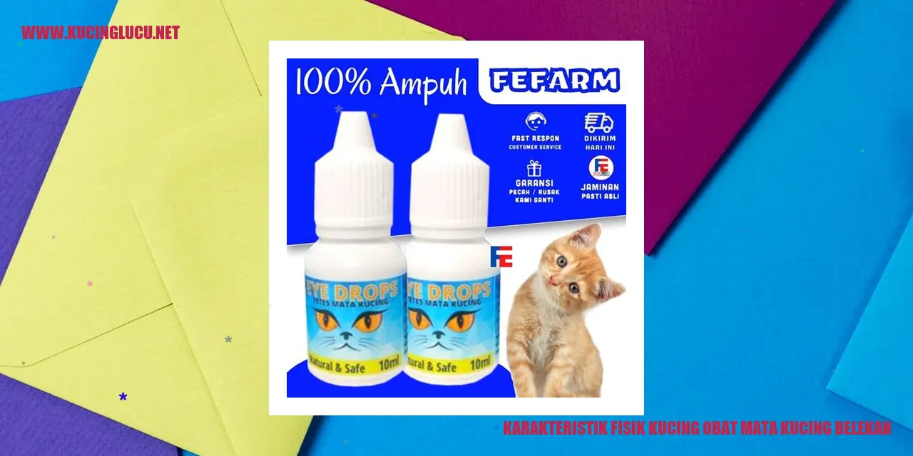 Karakteristik Fisik Kucing obat mata kucing belekan