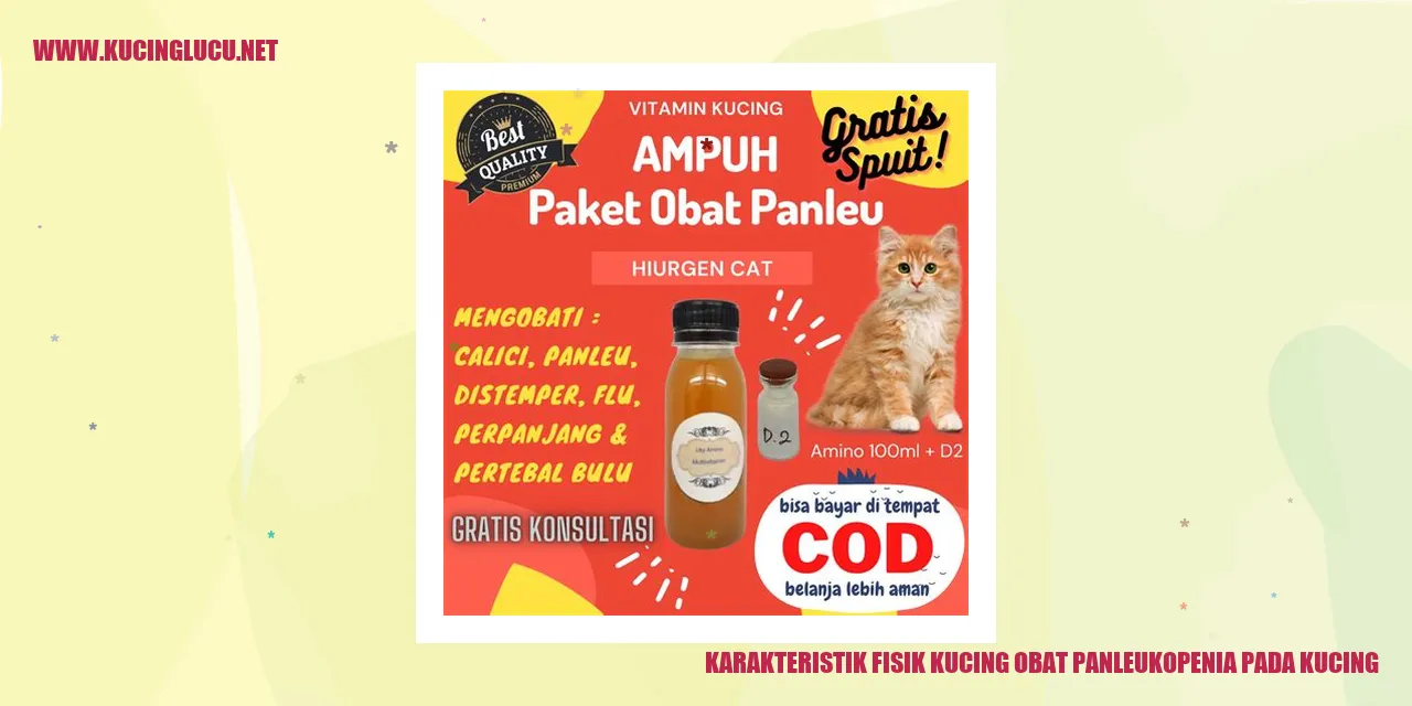 Gambar Kucing