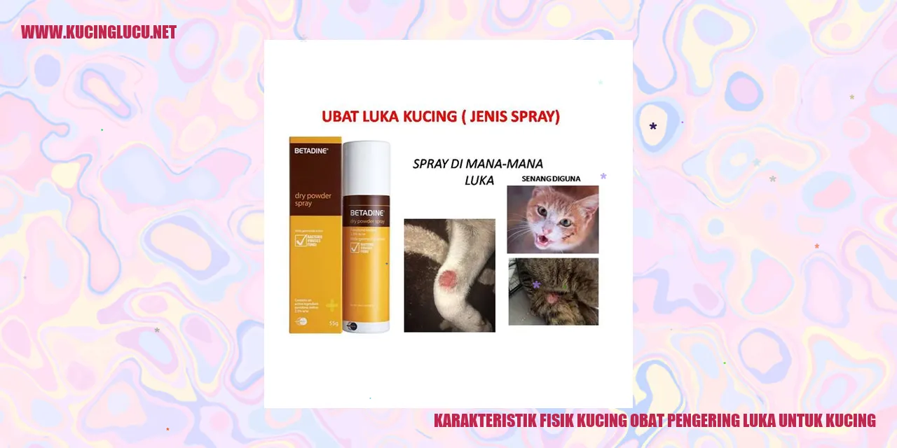 Karakteristik Fisik Kucing obat pengering luka untuk kucing