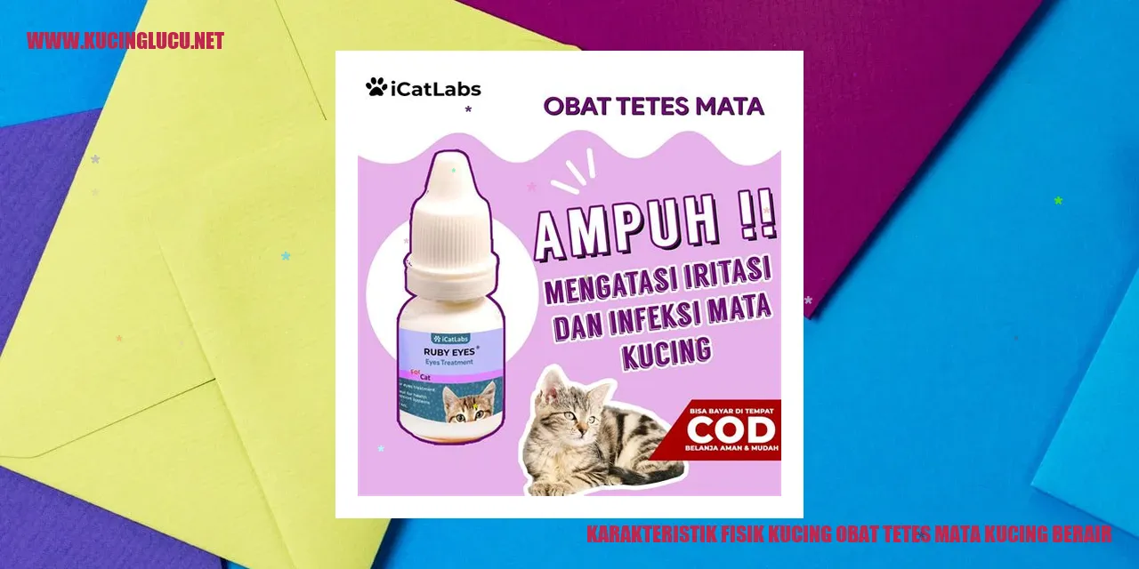 Karakteristik Fisik Kucing obat tetes mata kucing berair
